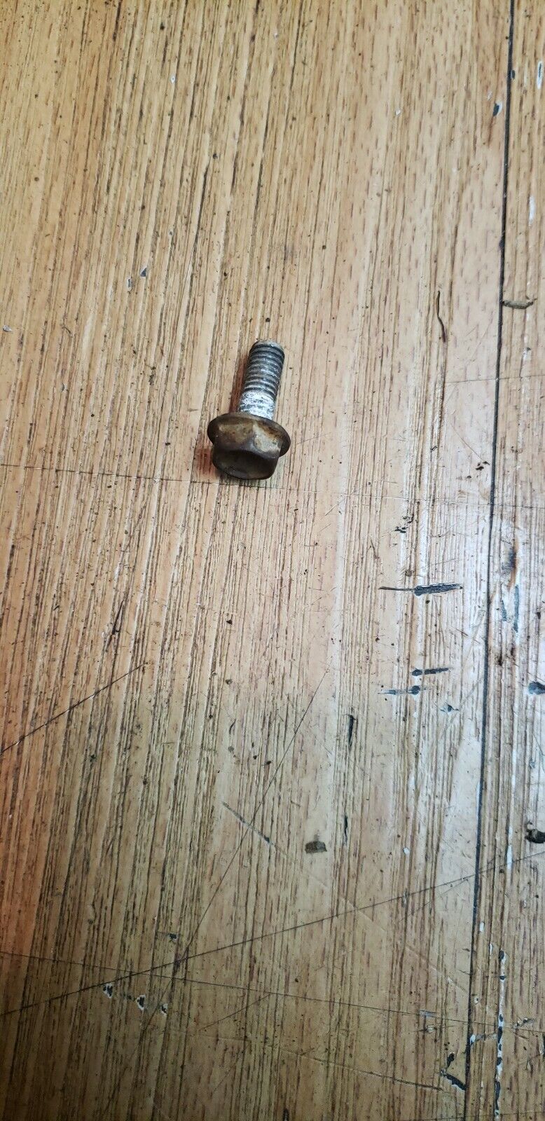 Honda XR250R 1987 bolt flange screw 6x16 6 x 16 96400-06016-00