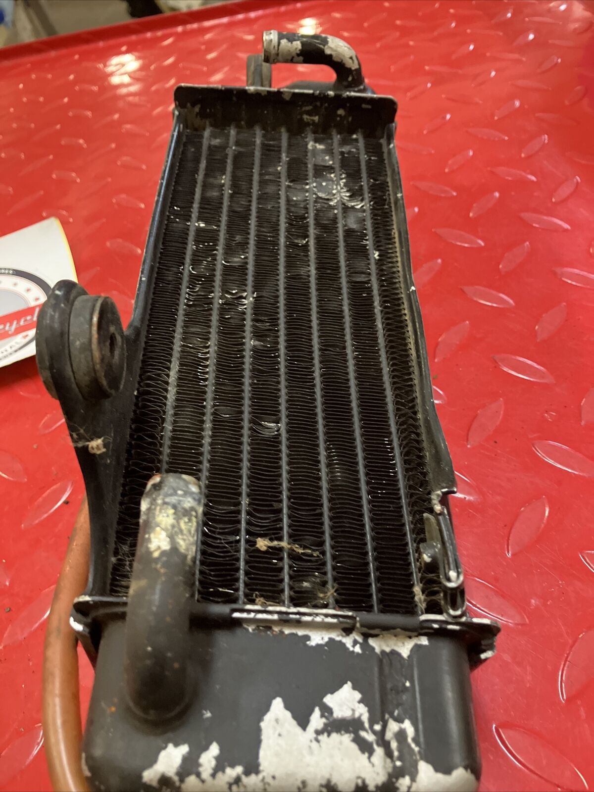 Honda CR80R 1984 radiator and grille guard 19010-GC4-731