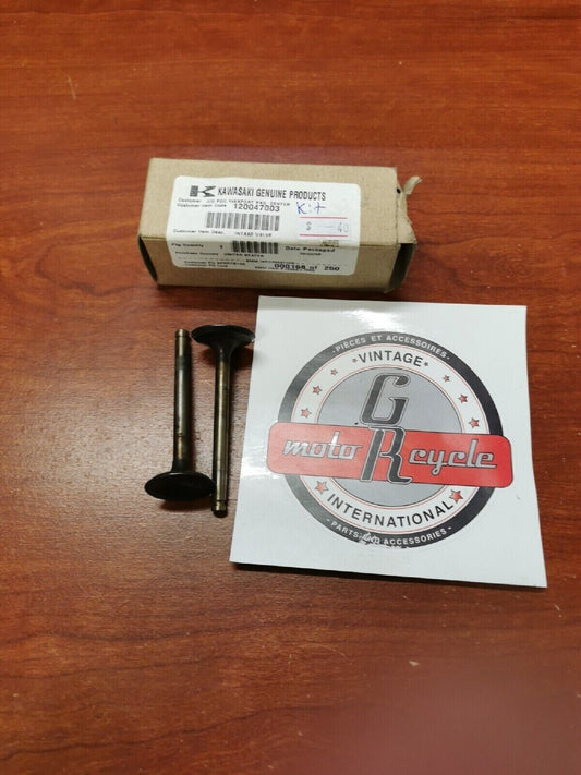 NOS Kawasaki FH500 FH451 INTAKE VALVE KIT 12004-7003 12004-7001 K23
