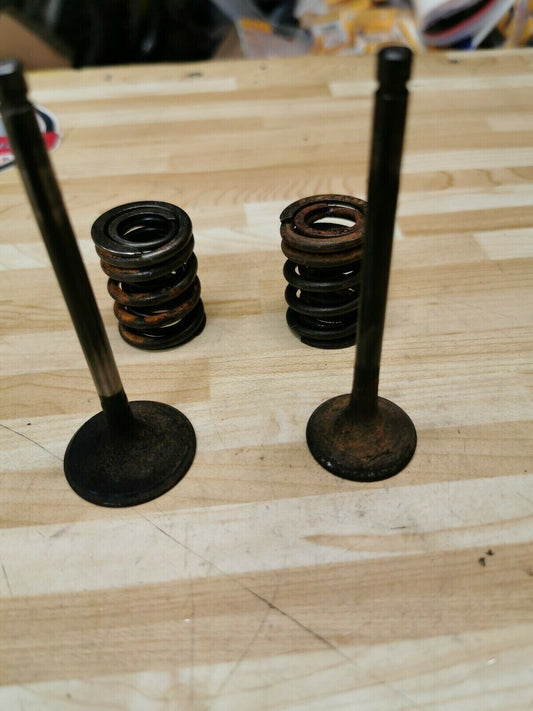 Yamaha TT225 1986 intake exhaust valve spring 5H0-12111-02-00 1987