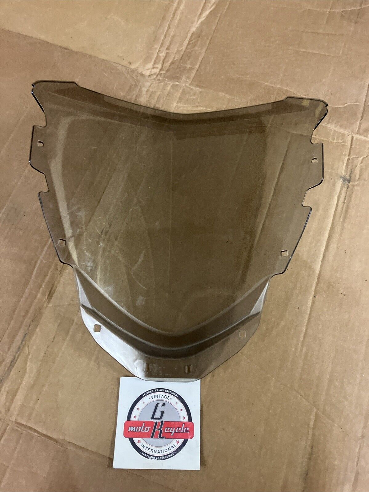 Ski-Doo Renegade Tundra Medium windshield 517306062
