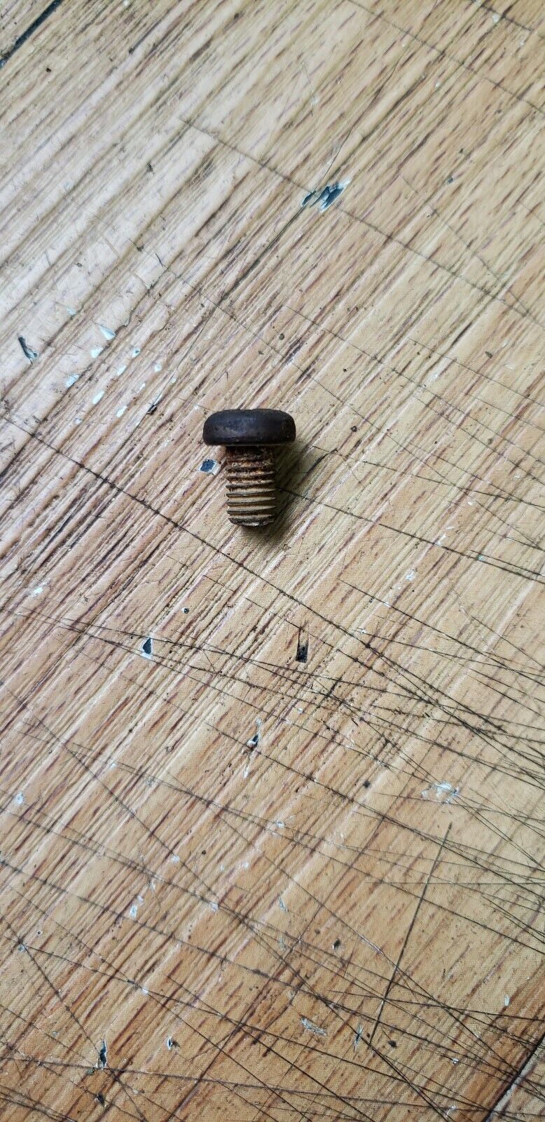 Honda CR250R 1989 Screw bolt pan 5 x 8 5x8