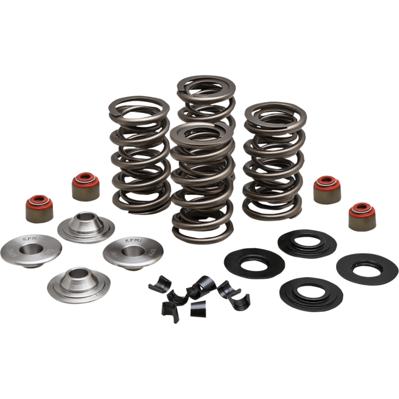 KIBBLEWHITE SPRING KIT 05-17 TC/XL 20-23550