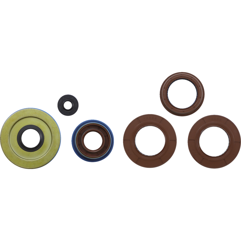 WINDEROSA OIL SEAL SET MSE POL 822198