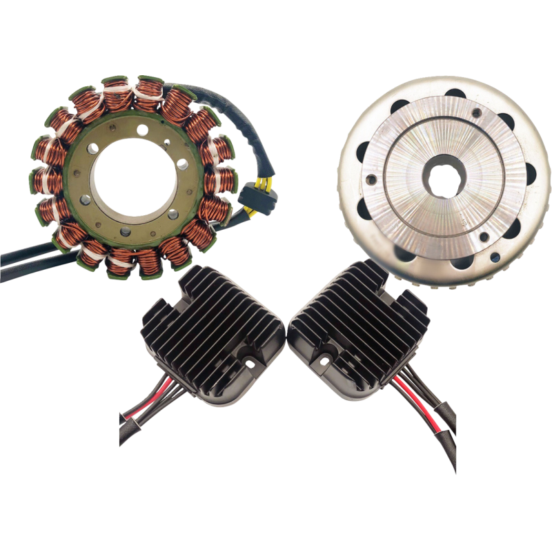 RICK'S MOTORSPORT ELECTRIC CHARGING KIT DOUBLE SHOT 99-500H