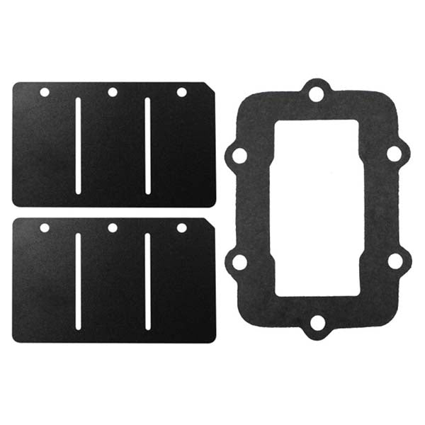 SPX REED VALVE REBUILD KIT SKI-DOO SM-07160C
