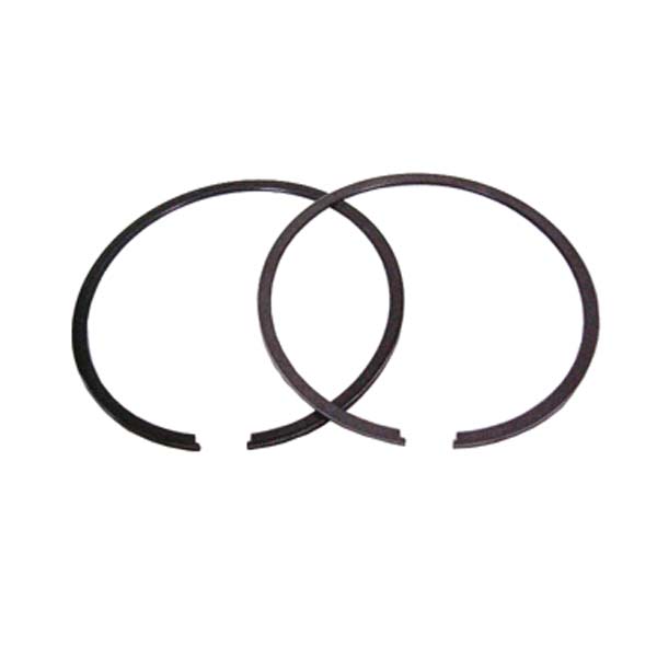 SPX REPLACEMENT PISTON RING POLARIS 09-731R