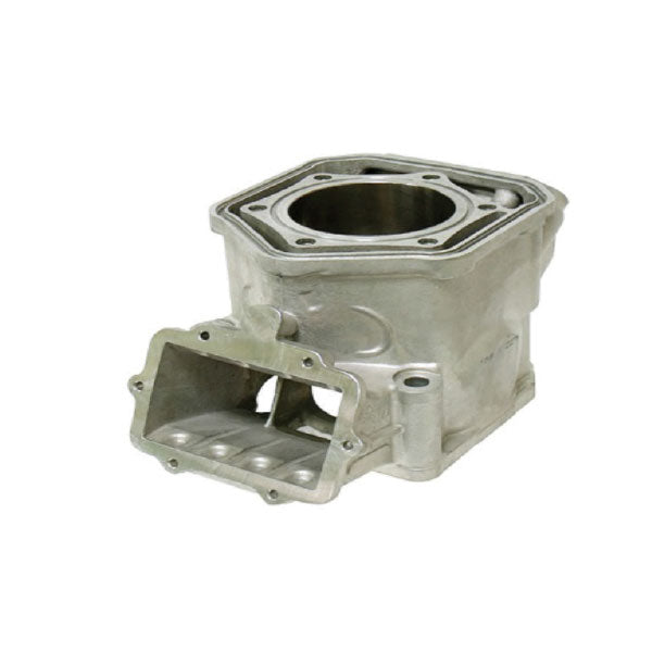 SPX ENGINE CYLINDER SKI-DOO SM-09602