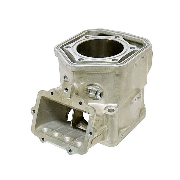 SPX ENGINE CYLINDER SKI-DOO SM-09603