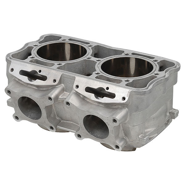 SPX ENGINE CYLINDER POLARIS SM-09618