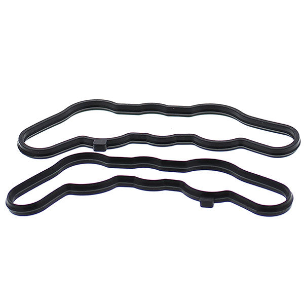VERTEX POWER VALVE GASKET SET 719122