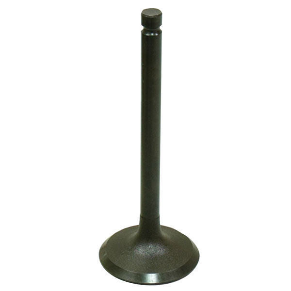 BRONCO ATV/UTV INTAKE VALVE YAMAHA AU-09157I