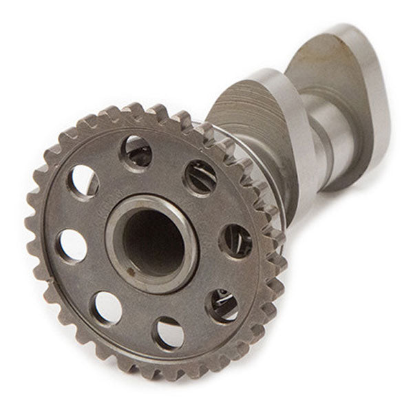 HOT CAMS CAMSHAFT INTAKE YAMAHA 4165-2IN