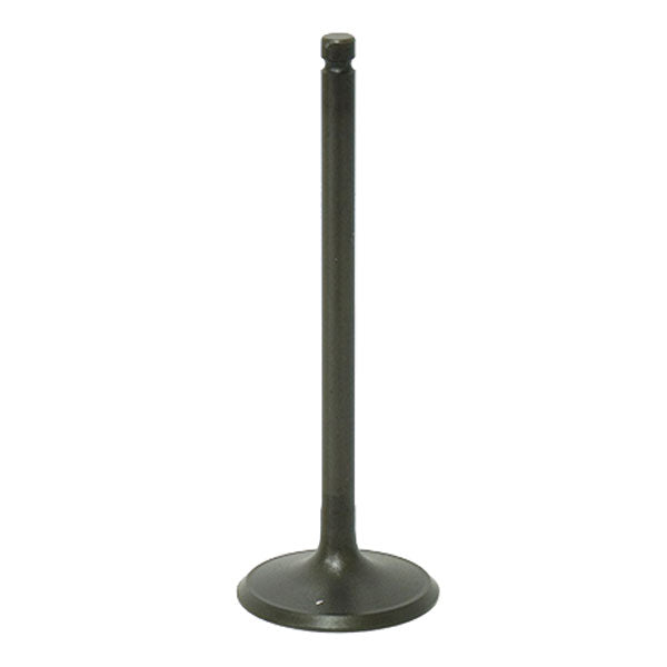 BRONCO ATV/UTV INTAKE VALVE POLARIS AU-09194I