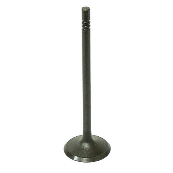 BRONCO ATV/UTV INTAKE VALVE POLARIS AU-09195I