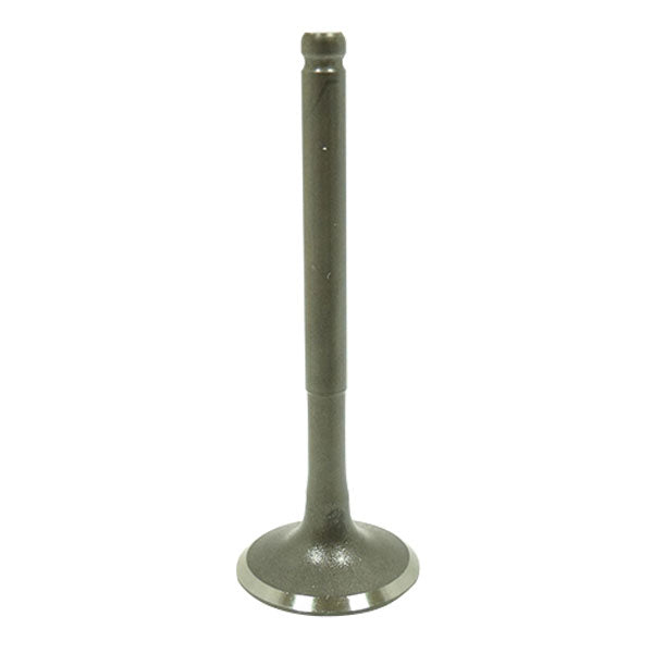 BRONCO ATV/UTV INTAKE VALVE POLARIS AU-09212I