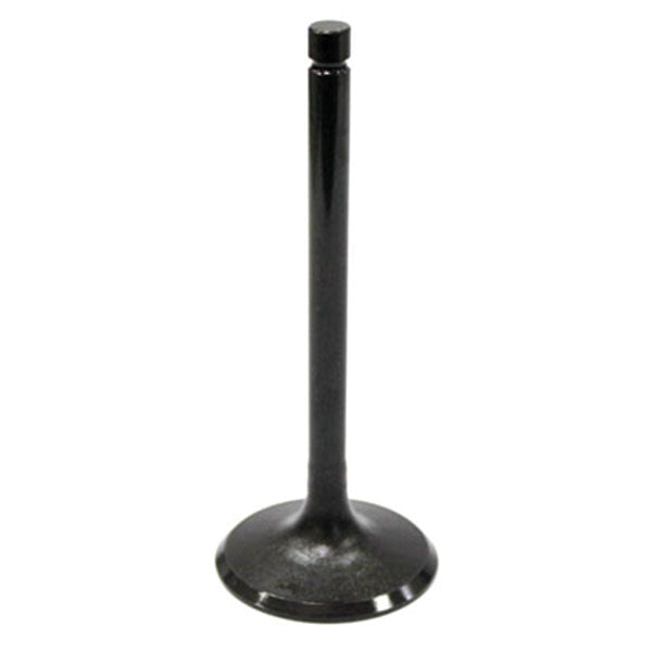 BRONCO ATV/UTV INTAKE VALVE HONDA AU-09000I