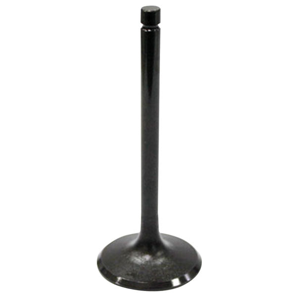 BRONCO ATV/UTV INTAKE VALVE HONDA AU-09009I