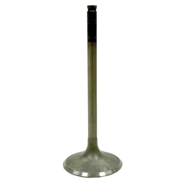 BRONCO ATV/UTV INTAKE VALVE HONDA AU-09204I