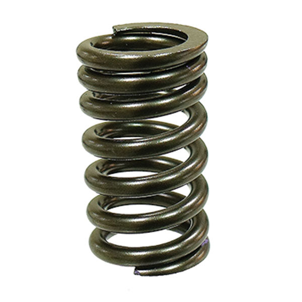 PSYCHIC INTAKE/EXHAUST VALVE SPRING HONDA XU-09544S