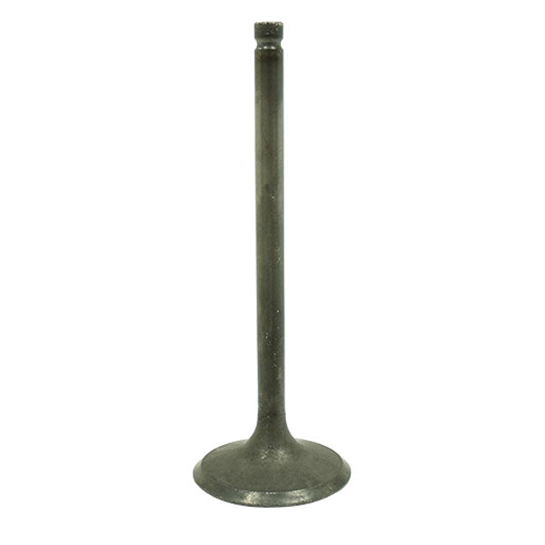 BRONCO ATV/UTV INTAKE VALVE SUZUKI AU-09215I