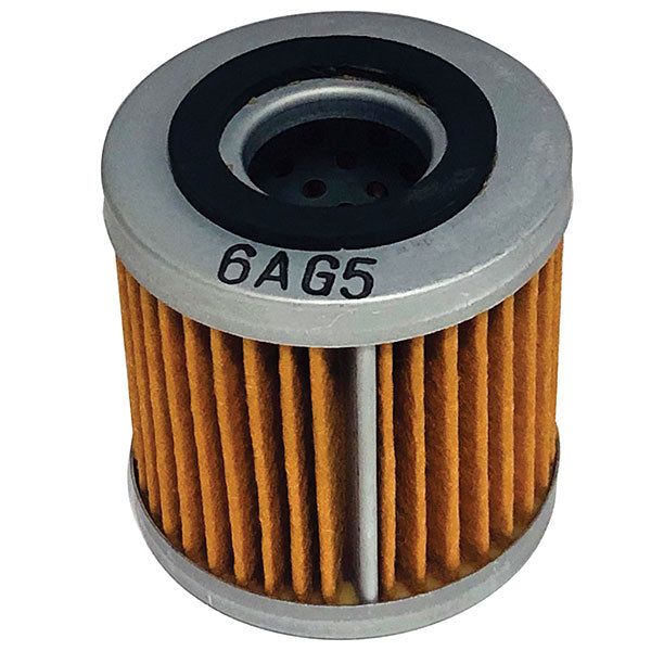 EMGO OIL FILTER 10-26963
