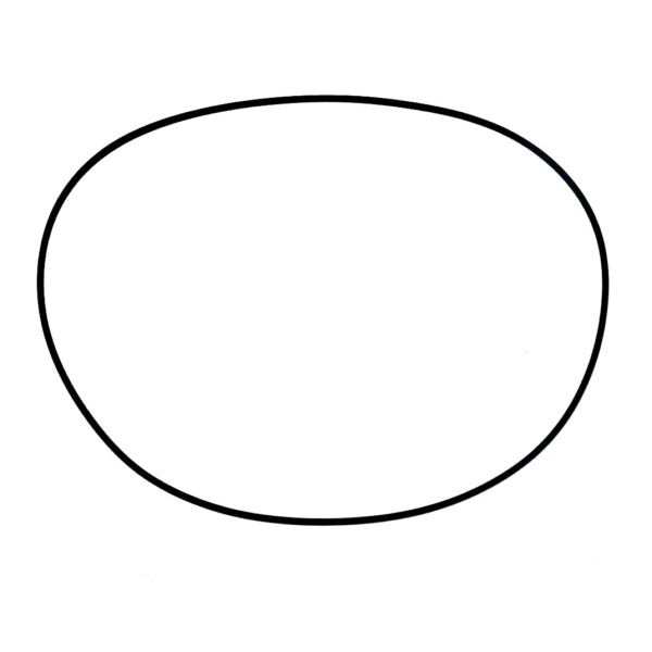 WSM HEAD COVER O-RING SEADOO 650 008-613
