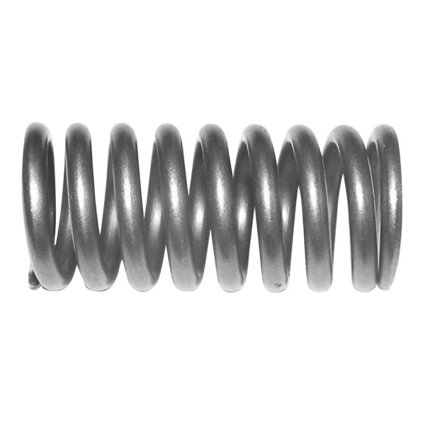 WSM VALVE SPRING YAM 1000 010-033