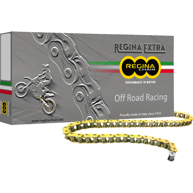REGINA REGINA 520 GPXV X 120 LINKS 135GPXV/001