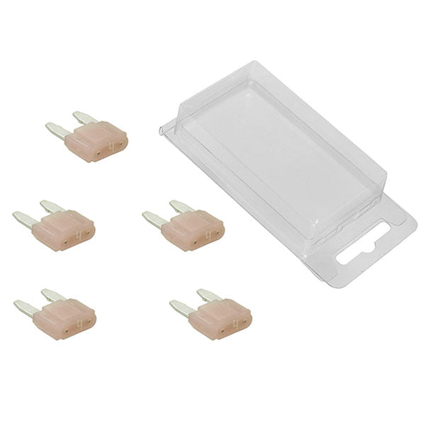 SPX MINI INTELLIGENT FUSES 5PK 4 AMP UP-01354-1