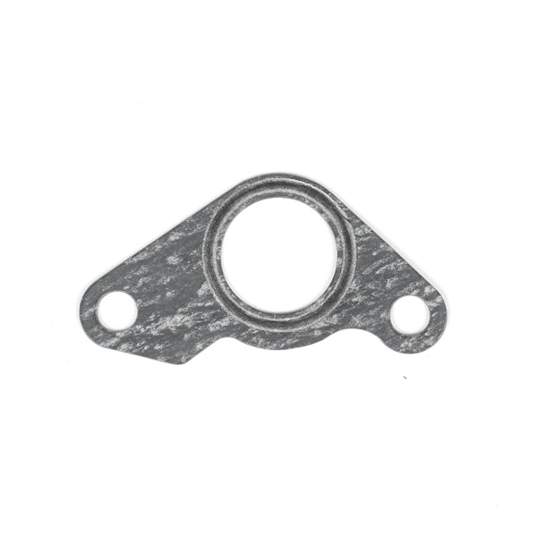 BRPEVINRUDE GASKET 5037365