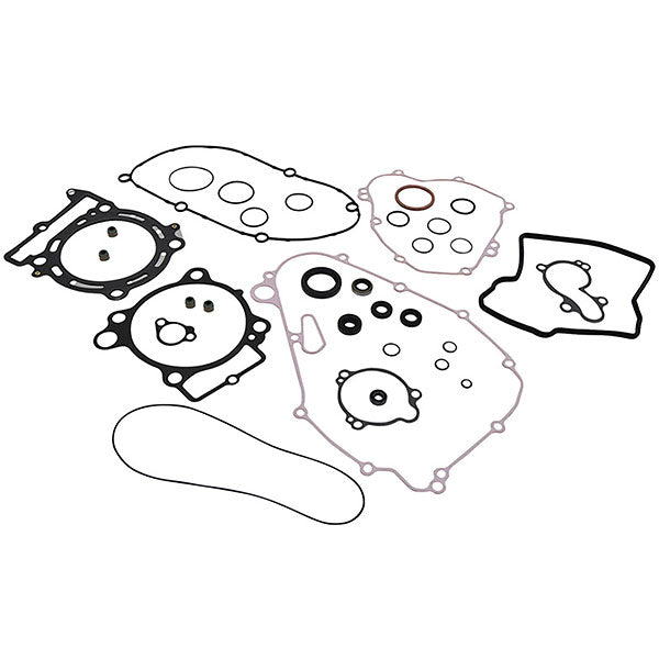 VERTEX GASKET SET & OIL SEALS 8110027