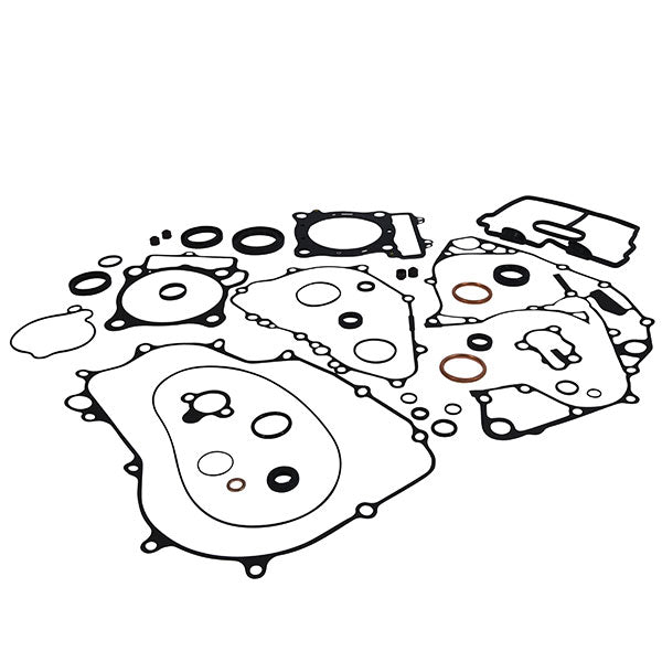 VERTEX GASKET SET & OIL SEALS 8110030