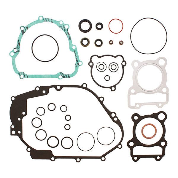 VERTEX GASKET SET & OIL SEALS 8110047