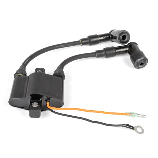 BRPEVINRUDE IGN COIL W/R-CAP 5041297