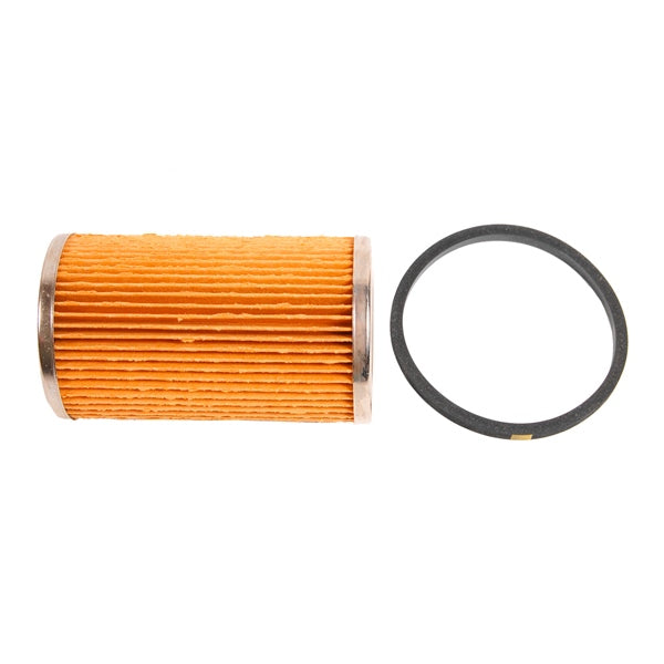 BRPEVINRUDE FUEL FILTER #61038 982230