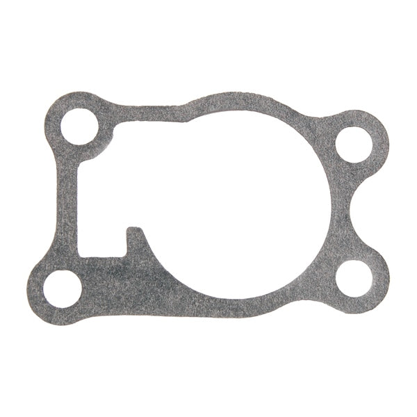 BRPEVINRUDE GASKET 325040