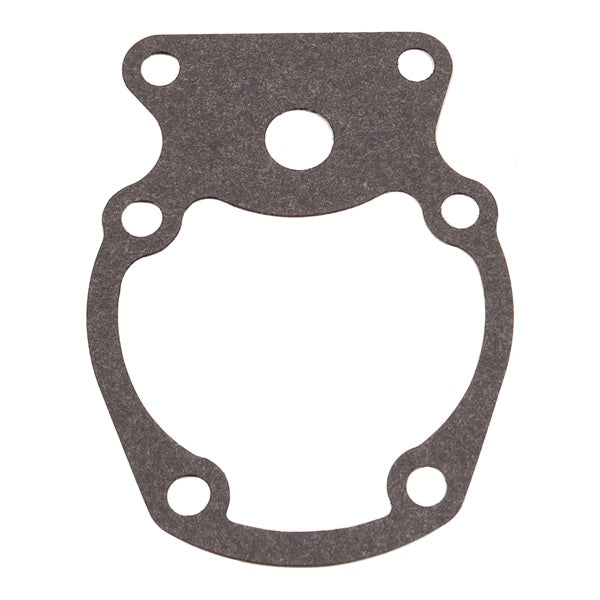 BRPEVINRUDE GASKET 325537