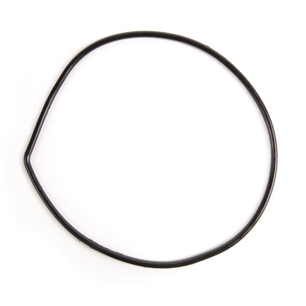 BRPEVINRUDE SEAL 331353