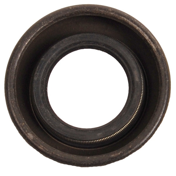 BRPEVINRUDE SEAL 303345