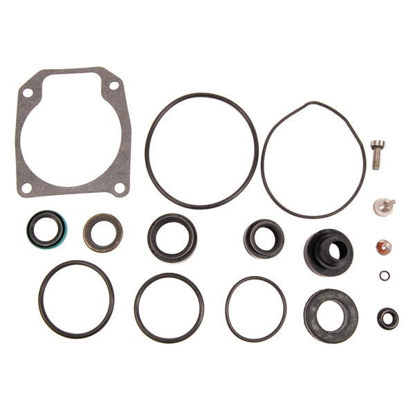 BRPEVINRUDE SEAL KIT-G CASE 45X 433550