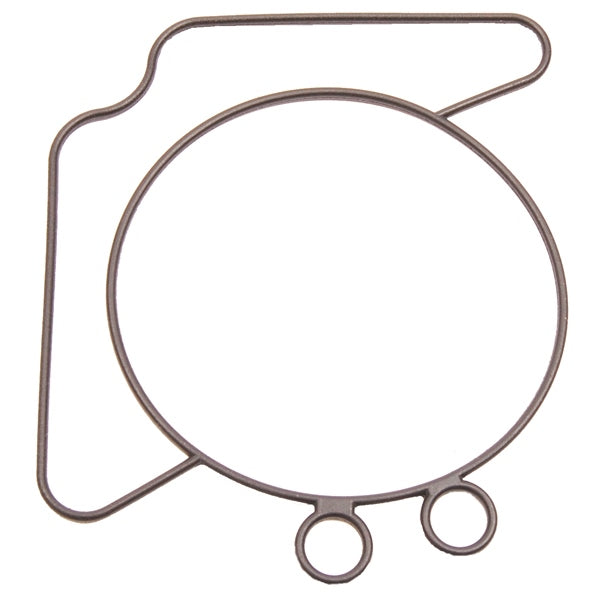 BRPEVINRUDE SEAL CARBURETOR 332253