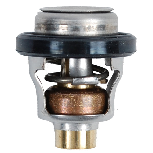 BRPEVINRUDE THERMOSTHAT 60 5031758