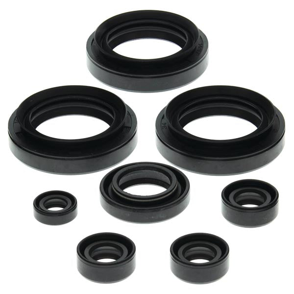 VERTEX ENGINE OIL SEAL KIT 822151