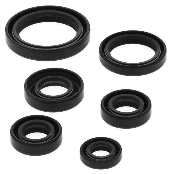 VERTEX ENGINE OIL SEAL KIT 822241