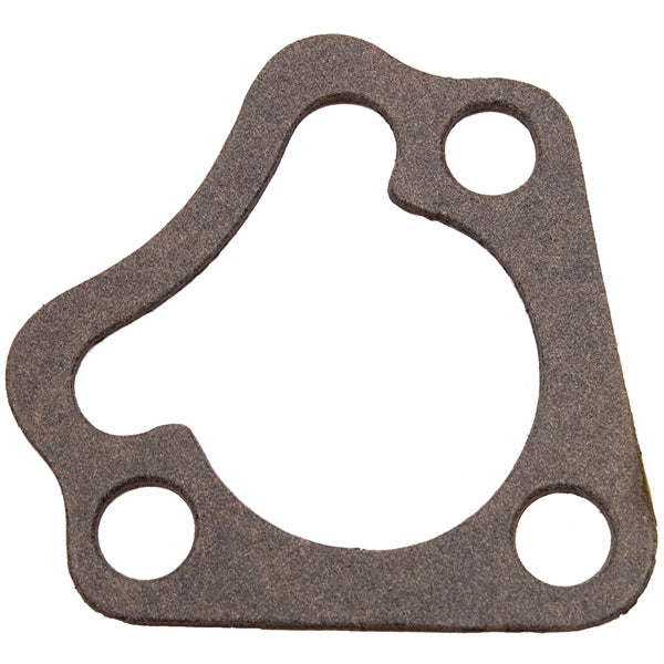 BRPEVINRUDE GASKET 329076