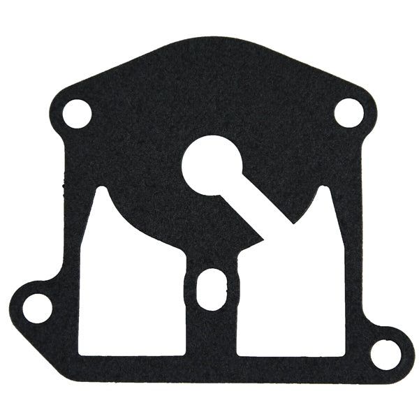 BRPEVINRUDE GASKET 3853654