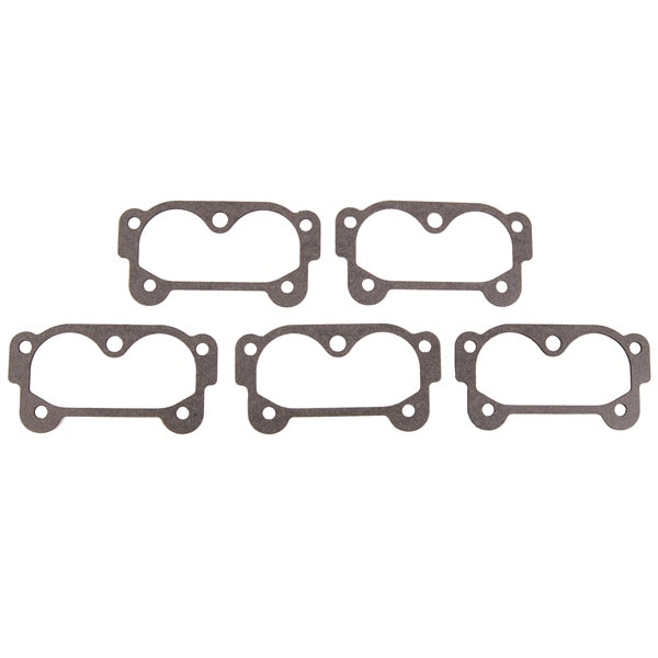 BRPEVINRUDE GASKET QTY 5 319771