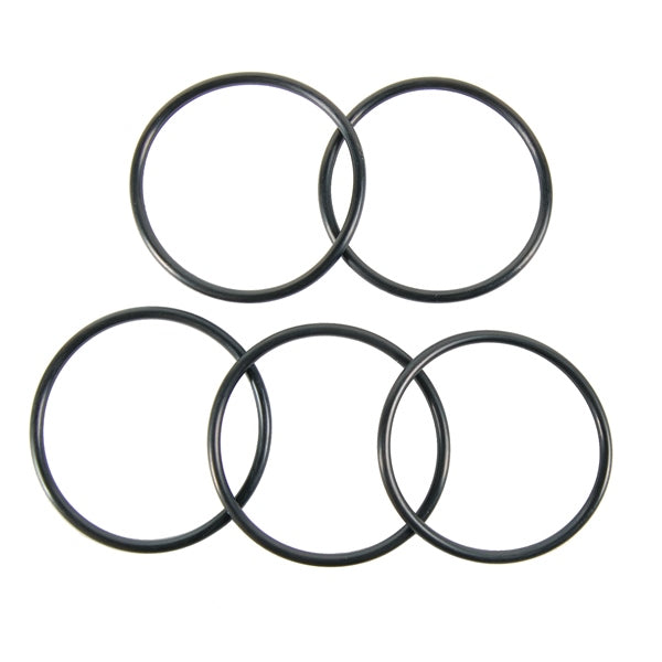 BRPEVINRUDE O-RING QTY 5 308627