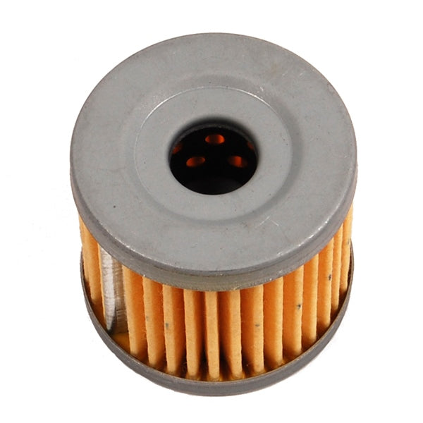 BRPEVINRUDE OIL FILTER 763364